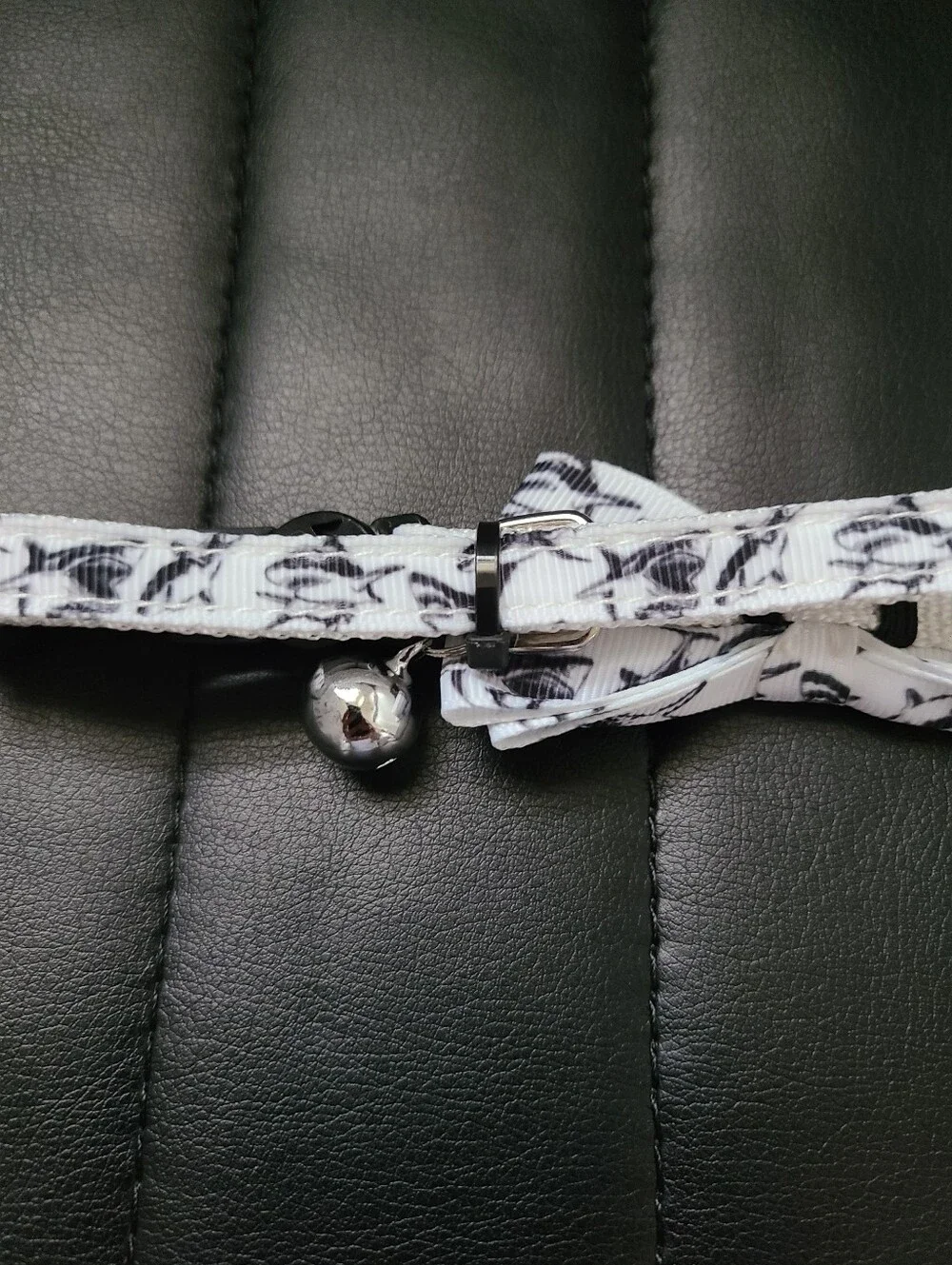 N/A cat collar